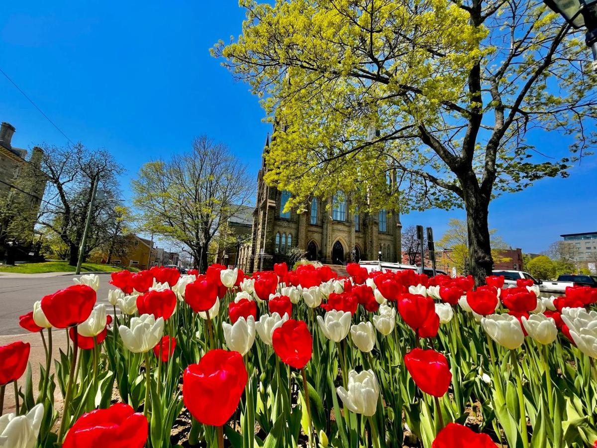 Charlotte's Rose 4* Charlottetown