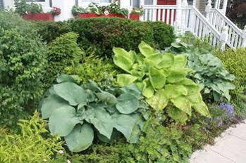 Charlotte's Rose Bed & Breakfast 4*